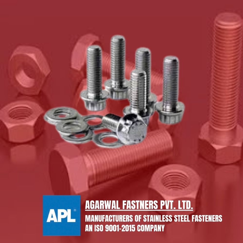 APL SS NUT BOLTS (1)